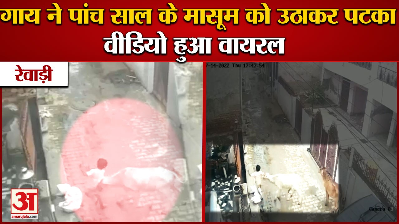 Cow Attacked A Child|गाय ने पांच साल के मासूम क...