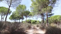 Bruselas expedienta de nuevo a España y amenaza con multa por no proteger el humedal de Doñana