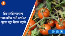 মিড-ডে মিলের জন্য শাকসবজির চাহিদা মেটাতে স্কুলের ছাদে কিচেন গার্ডেন |OneIndia Bengali