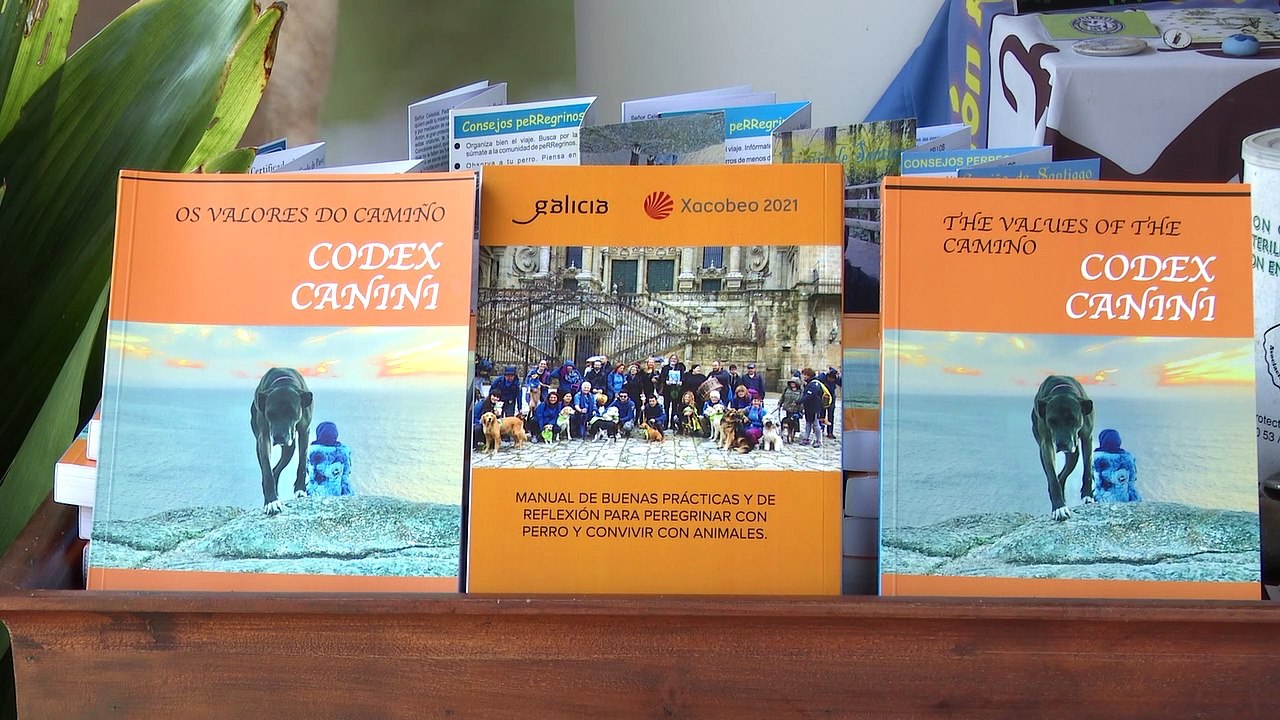 Las rutas jacobeas a cuatro patas: unos 5.000 'perregrinos' hacen el Camino de Santiago cada año