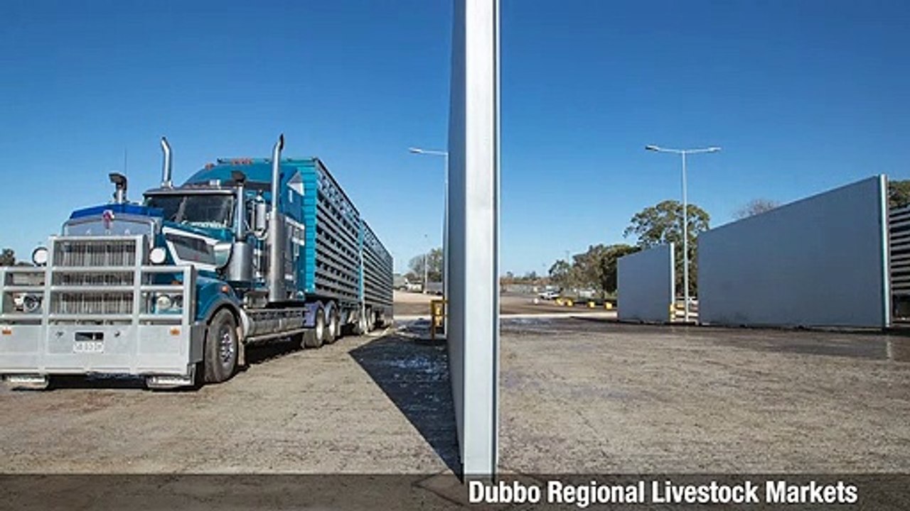 Dubbo Gallery