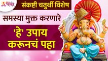 संकष्टी चतुर्थीला समस्या मुक्त करणारे कोणते उपाय करावे?This things you can do on Sankashti Chaturthi