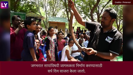 World Snake Day 2022: भारतातील \'या\' 5 विषारी सापमुळे काही मिनिटात जाऊ शकतो जीव