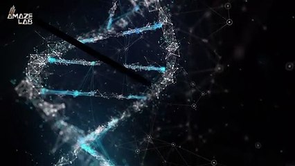 Mysterious Fossils Found in China Have Now Been Analyzed, Revealing Where the First Americans Likely Came From