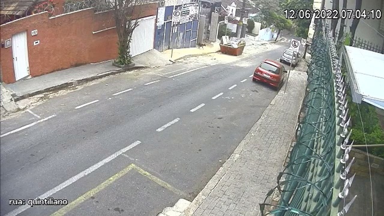 Cachorro de estimação morre após ser atacado por dois cães ‘alugados’