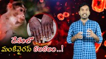 భారత్‌లో మంకీపాక్స్‌ కలకలం...అసలేంటీ వైరస్ ? *National | Oneindia Telugu