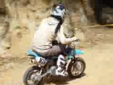 0309キョウセイ 035