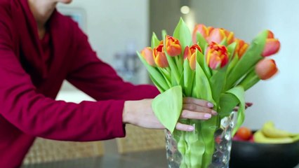 Todas las funcionalidades del Echo Show 15