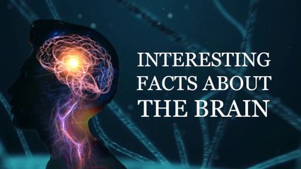 Fascinating Brain Facts You Better Know Before You Get Older!