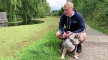 Rob Leach's dog Kobi had to be rescued from the canal at Ashton, Preston