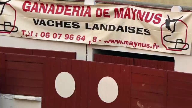 14.07.2022 St Sever Maynus Olivier Barrere Course de Seconde La Course