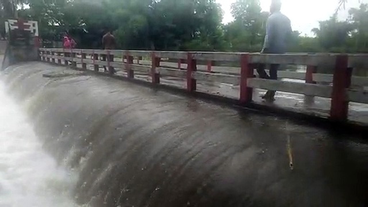 VID20220629151253