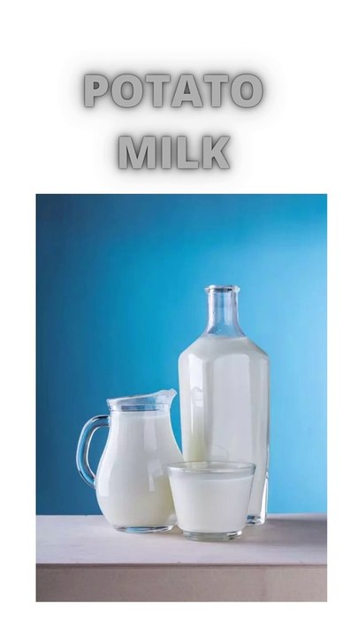 POTATO MILK