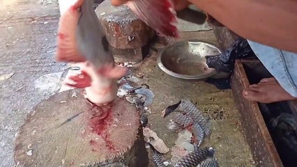 Amazing New Style Big Pangas Fish Cutting in Bangladesh Fish Market 2022