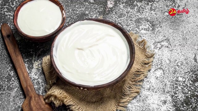 Difference Between Yogurt and Curd Health Benefits of Yogurt - 24 Tamil Health