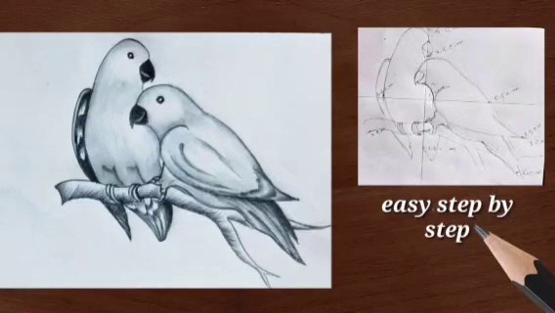 how to draw a parrot step by step