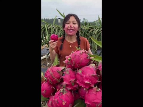 Chinese Woman Fruits Gardening Wow Amazing Lovely Fruits Channel