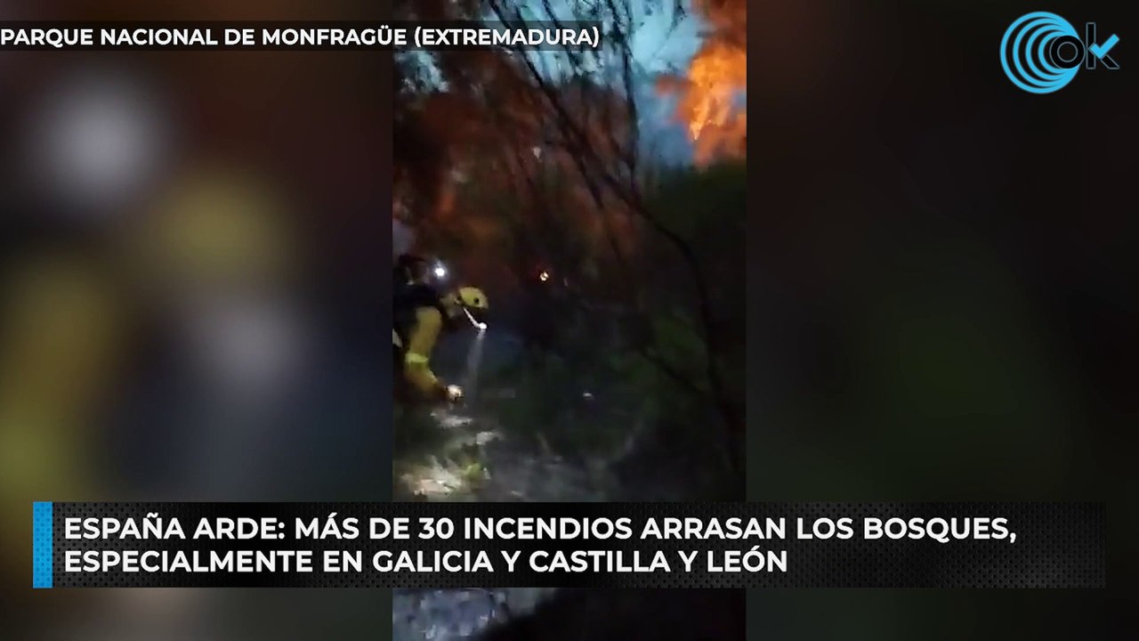 España arde más de 30 incendios arrasan los bosques, especialmente en ...