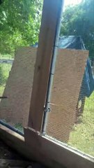 Backyard Chickens For Beginners