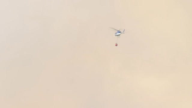 Las llamas entran en el parque nacional de Monfragüe