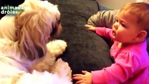 Bébés drôle Parler aux chiens Compilation 2014 [NEW HD]