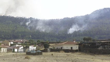 Son dakika haberi! İspanya'daki orman yangınına havadan ve karadan müdahale ediliyor