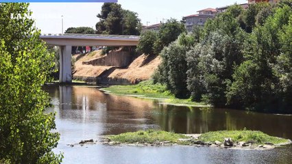 Siccità, il desolante spettacolo dell'Arno in Toscana