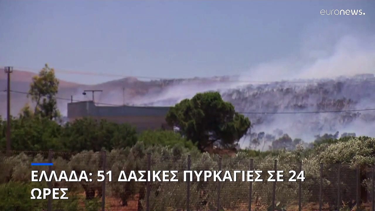 Ελλάδα: 51 δασικές φωτιές σε 24 ώρες - Μαίνεται...