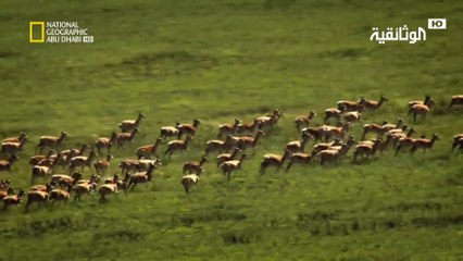 أمازون آسيا | منبع نهر آمور