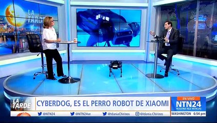 EN ZONA DIGITAL:  Cyberdog, el perro robot de Xiaomi visitó NTN24