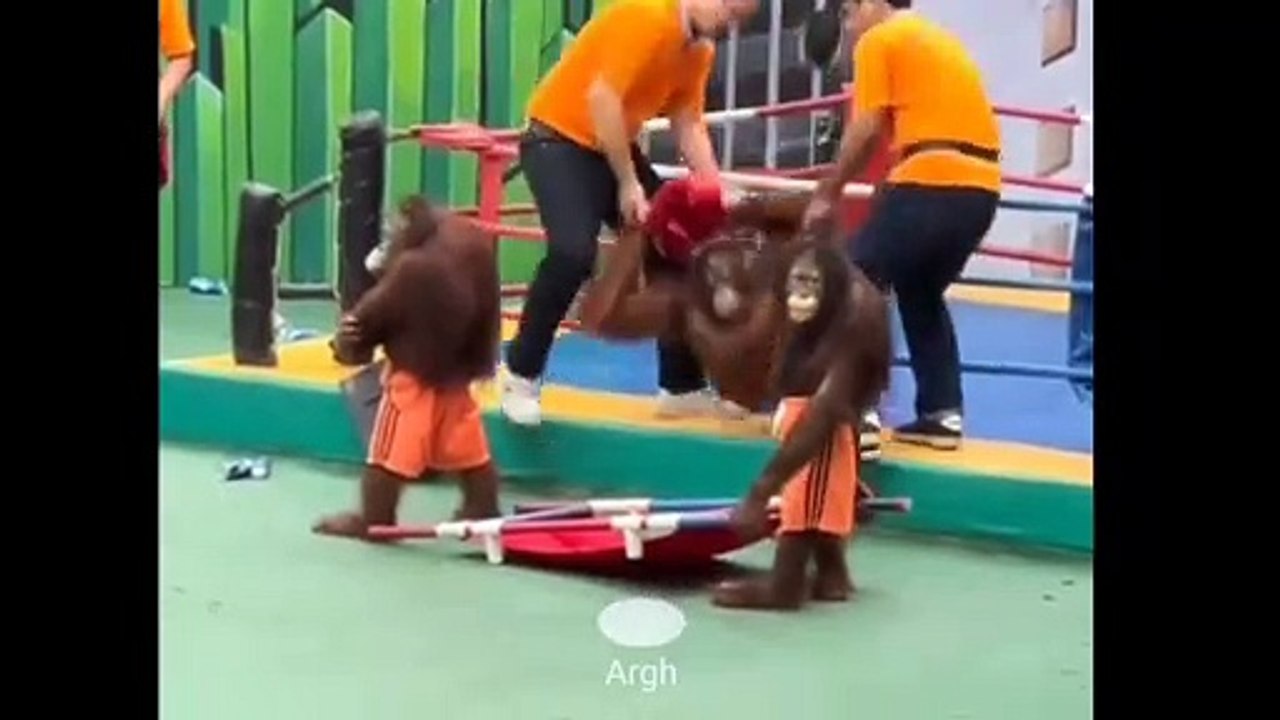 Tertawalah Sebelum Ditertawakan