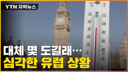 [자막뉴스] 기록 갈아치우는 무더위, 유럽은 지금 '초비상' / YTN