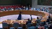 Conselho de Segurança da ONU pede fim de transferência de armas para gangues haitianas