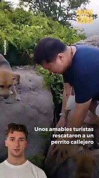 Este #perrito se encontraba en apuros, pero unos #turistas llegaron para ayudarlo