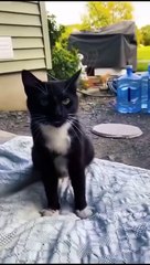 Facebook Funny Video 