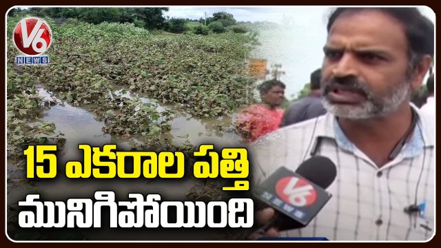 Farmers Face Huge Crop Loss Due To Unseasonal Rains _ Karimnagar _ V6 News