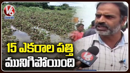 Farmers Face Huge Crop Loss Due To Unseasonal Rains _ Karimnagar _ V6 News