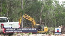 Activistas denuncian reactivación de obras en Tramo 5 del Tren Maya