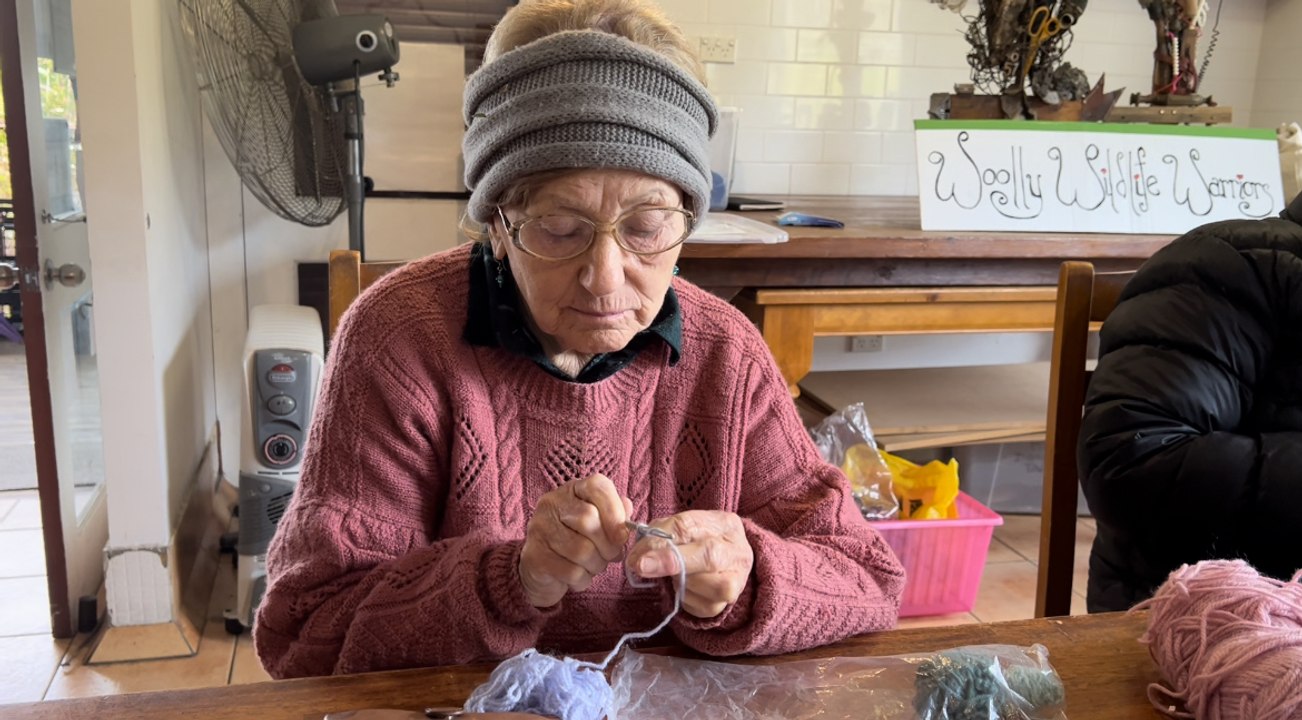 Woolly Wildlife Warriors, Blue Mountains, NSW - July 16, 2022 - Blue Mountains Gazette