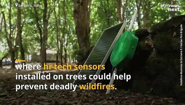 Italy is betting on hi-tech fire detection sensors to protect its forests from climate change