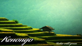 Backsound music gamelan | kenongo | No Copyright - Robin Wild Green