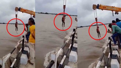 Raichur ನಲ್ಲಿ ಬ್ಯಾರೇಜ್ ಗೇಟ್ ತೆಗೆಯಲು ಅಧಿಕಾರಿಗಳು ಮಾಡಿದ ಸಾಹಸ ನೋಡಿ | Oneindia Kannada