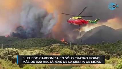 El fuego carboniza en sólo cuatro horas más de 800 hectáreas de la sierra de Mijas