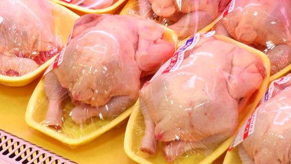 '초복' 삼계탕 속까지 완전히 익혀야...캠필로박터 식중독 급증 / YTN