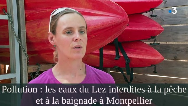 J'ai regardé People That Were Murdered By Words On Social M | Charlotte Dobre et d'autres vidéos