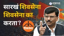 Sanjay Raut यांचा सरकारला टोला, म्हणाले- महाराष्ट्रात एक दुजे के लिये सिनेमा सुरू आहे | Sakal Media