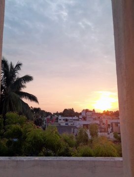 Beautiful sunset moment video with beautiful background music | a beautiful background music with nature video | a amazing video status