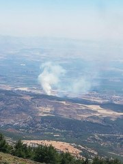 Son dakika haberi | Hatay'da çıkan örtü yangınına müdahale ediliyor
