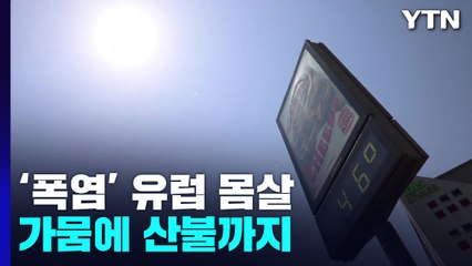 40도 넘는 기록적인 폭염으로 유럽 몸살...가뭄에 산불까지 / YTN