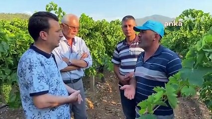 CHP'li Başevirgen'e dert yanan üzüm üreticisi: 25 liranın altında üzüm olmaması gerekiyor; yoksa bu çiftçilik olmaz, yapamayız!